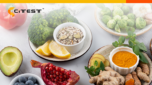 Citest 20251110 1280x720px_副本.jpg